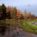 Wild, wet and windy winter's walk by busylady