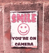 29th Dec 2017 - Smile...you're on camera