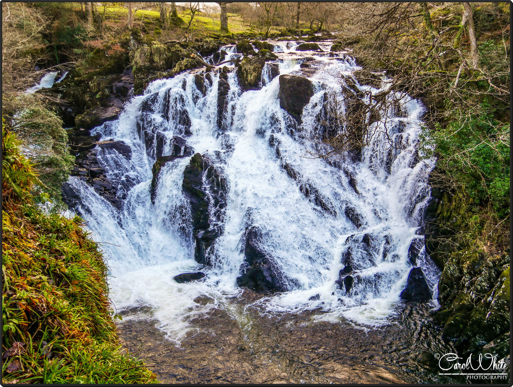 Swallow Falls,Betws-y-coed,Wales by carolmw