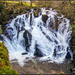 Swallow Falls,Betws-y-coed,Wales by carolmw