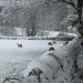 Snow day by richard_h_watkinson