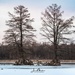 Busch Conservation Area Winter by jae_at_wits_end