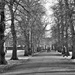 Urban Parklife (Winter Version) by phil_howcroft