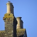 Chimney Pots and Starling by redandwhite