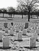 30th Dec 2017 - Jefferson Barracks National Cemetery
