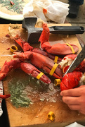 29th Dec 2017 - Lobster Fest