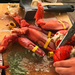 Lobster Fest by jaybutterfield