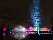 20th Dec 2017 - Kew Gardens lights 