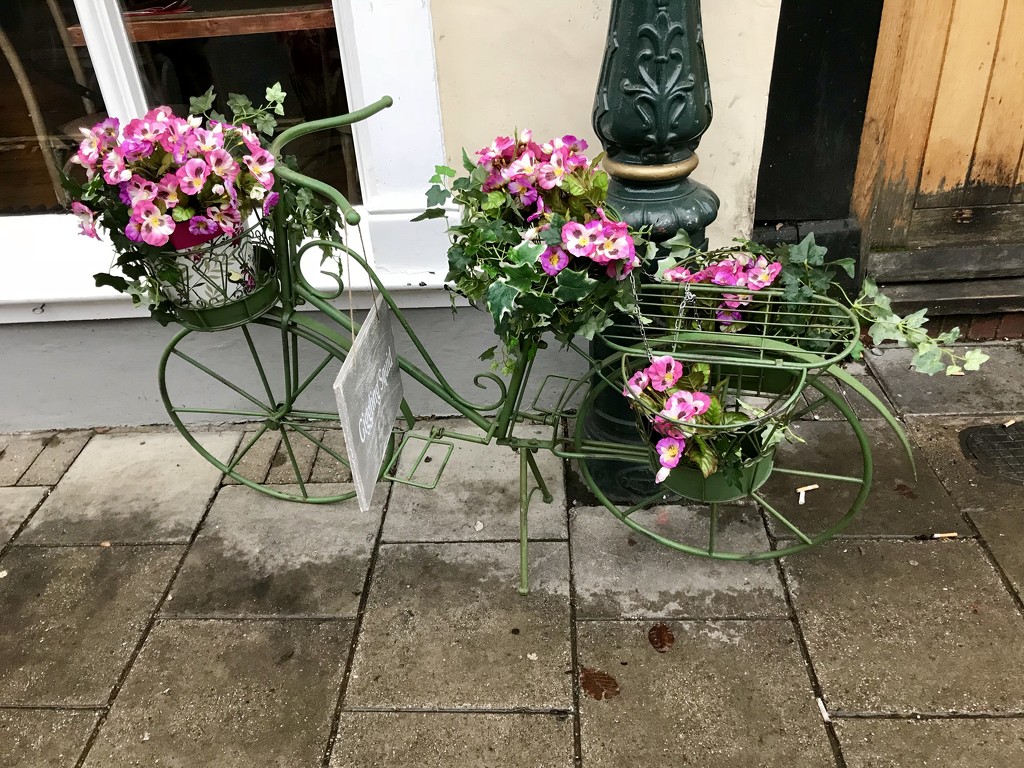 Flower bike by emma1231