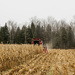 Combining by farmreporter