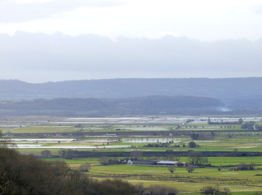 Somerset Levels from Turn Hill by julienne1