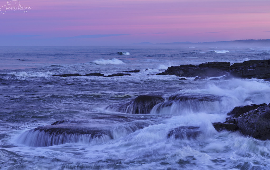 Another Pink Dawn In Yachats by jgpittenger