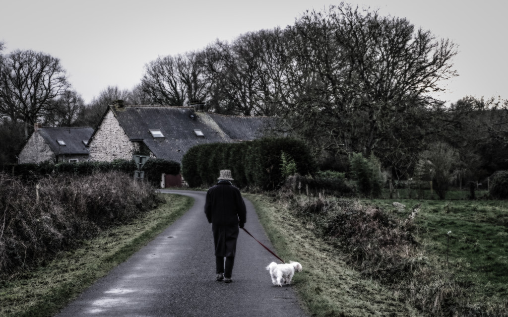 In the Bleak Midwinter- Dog Walk by vignouse
