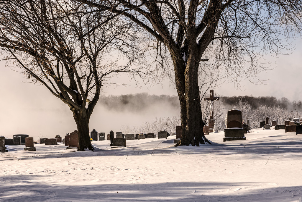 Cold Mist On the St. Lawrence by farmreporter