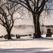 Cold Mist On the St. Lawrence by farmreporter