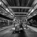 Platforms 2 and 3 by fbailey
