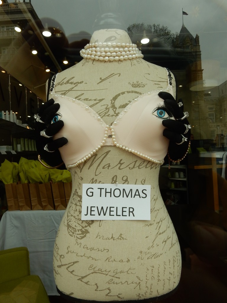 G Thomas Jeweler Bra by mcsiegle