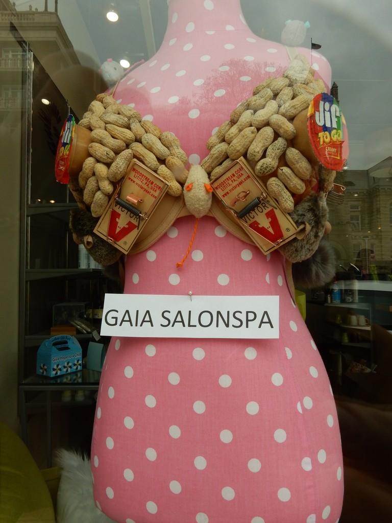 Gaia Salonspa Bra by mcsiegle