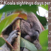 It's working! by koalagardens