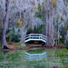 Spanish moss and bridge, Magnolia Gardens, Charleston, SC by congaree