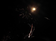 1st Jan 2018 - DSCN6653 full moon between fireworks