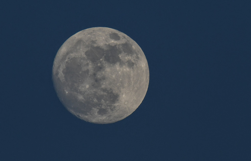 New Year's Eve Moon by kareenking