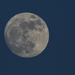 New Year's Eve Moon by kareenking