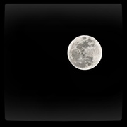 2nd Jan 2018 - January Wolf Moon