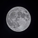 Moon by tonygig