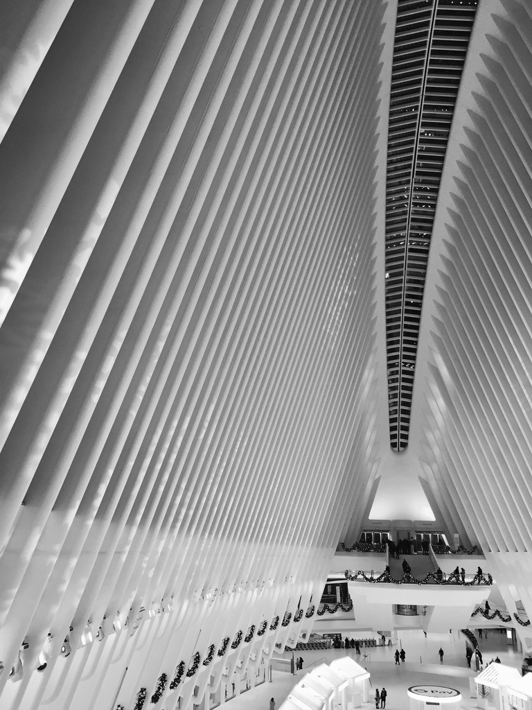 The Oculus - WTC by fauxtography365