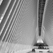 The Oculus - WTC by fauxtography365