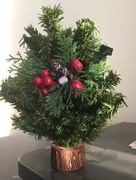 2nd Jan 2018 - Little Christmas tree