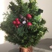 Little Christmas tree by kchuk