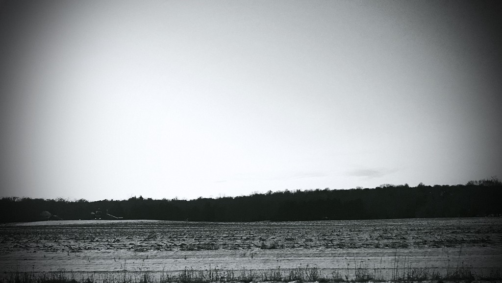 Day 108:  Snow Covered Field by sheilalorson
