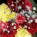 colorful carnations by caitnessa