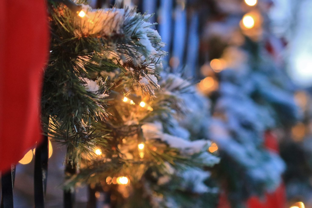 December Decoration by lynnz