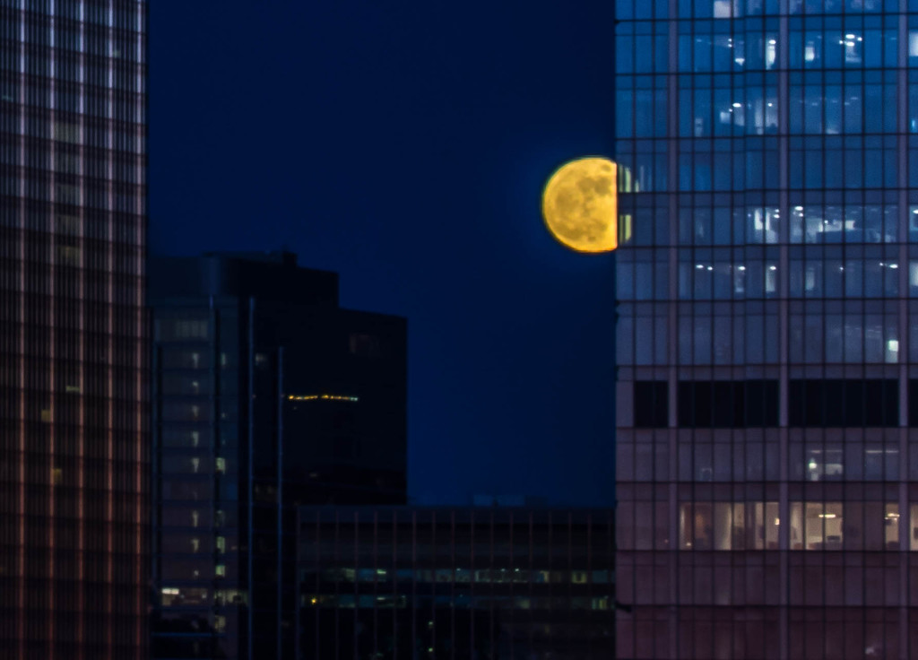 City Moon, Peeking Out  by jyokota