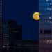 City Moon, Peeking Out  by jyokota