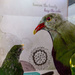 Green Catbird by jeneurell