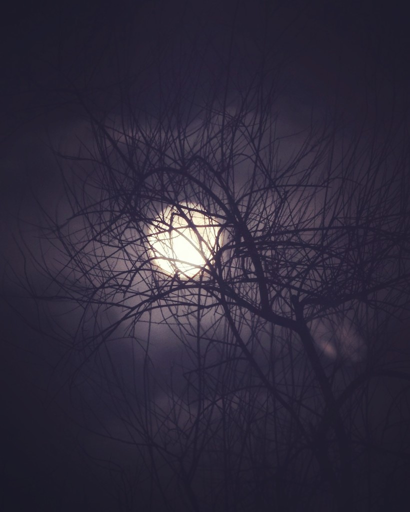 Moonlight by mattjcuk
