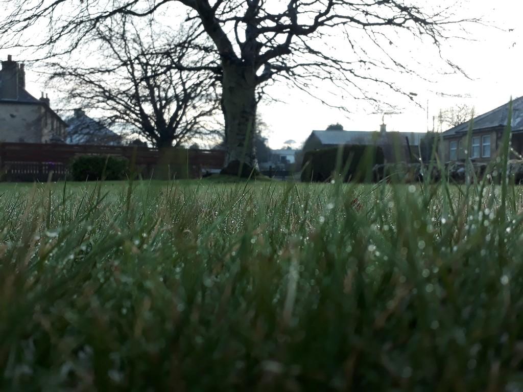 Frost glistening on grass... by sarah19