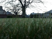 3rd Jan 2018 - Frost glistening on grass...