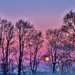 The Moon & Sunrise Pinks by lynnz