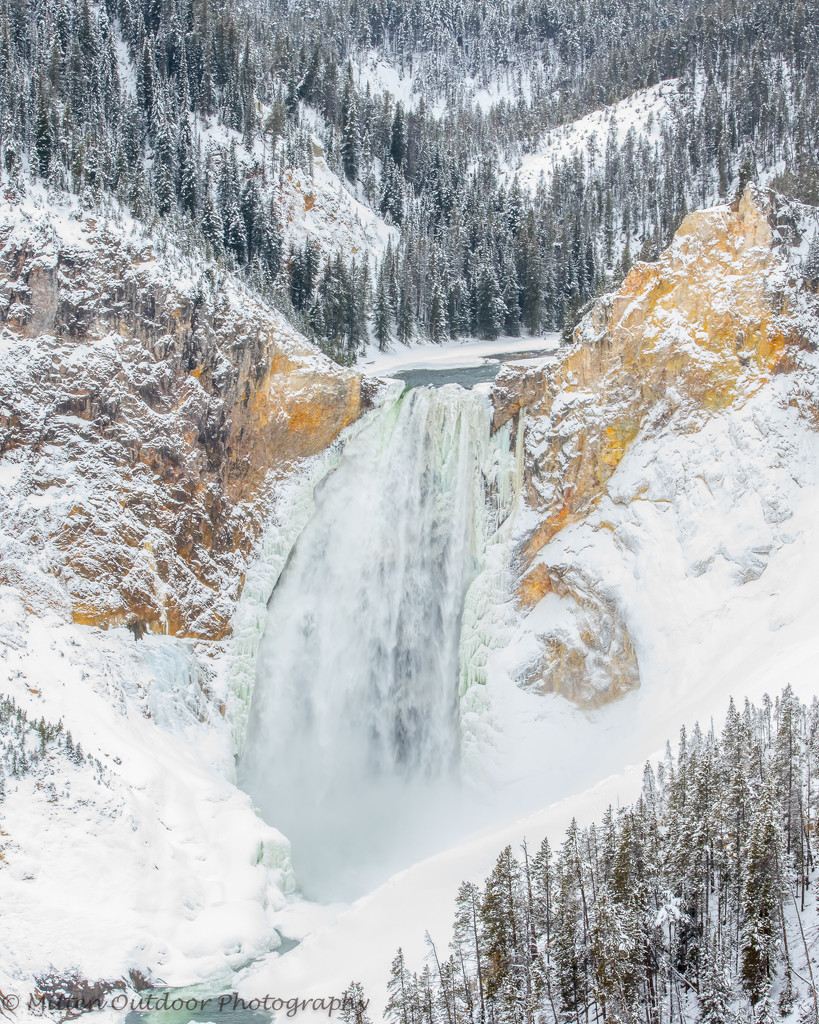 Lower Falls at the Grand Canyon of Yellowstone by dridsdale