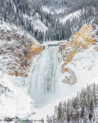 3rd Jan 2018 - Lower Falls at the Grand Canyon of Yellowstone