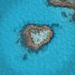Heart Reef by judithdeacon