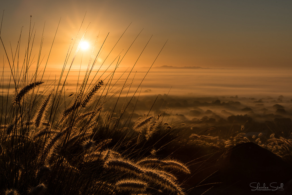 Foggy Morning Sunrise by bella_ss