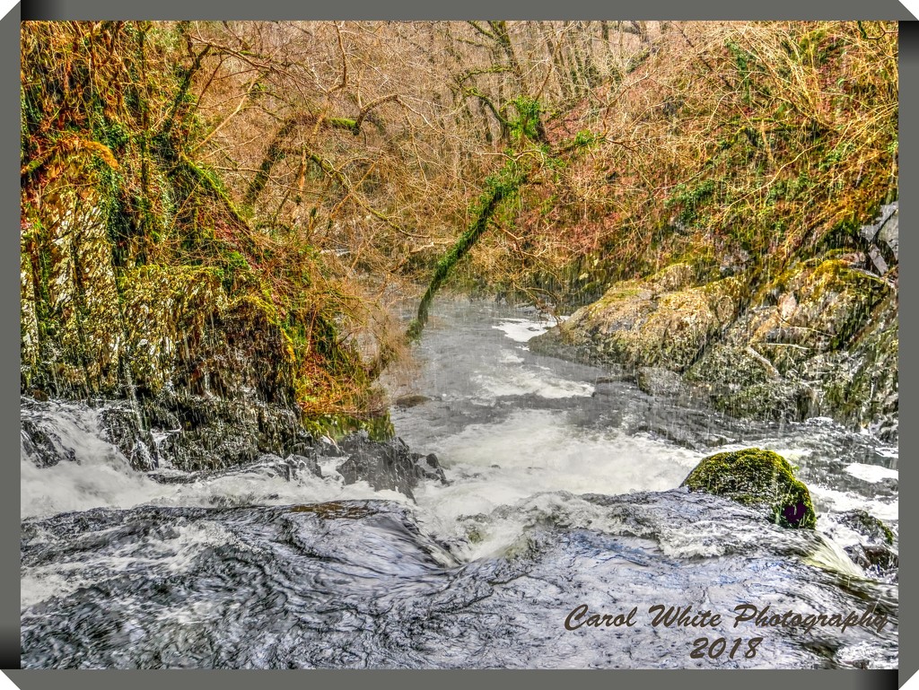 Swallow Falls,Wales (another view) by carolmw