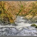 Swallow Falls,Wales (another view) by carolmw