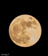 5th Jan 2018 - Full Moon 